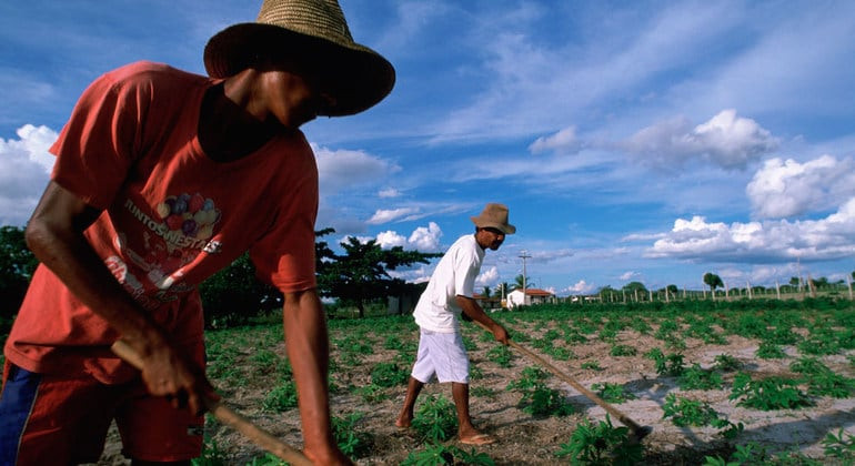 La agricultura familiar es un aliado fundamental para lograr el desarrollo sostenible