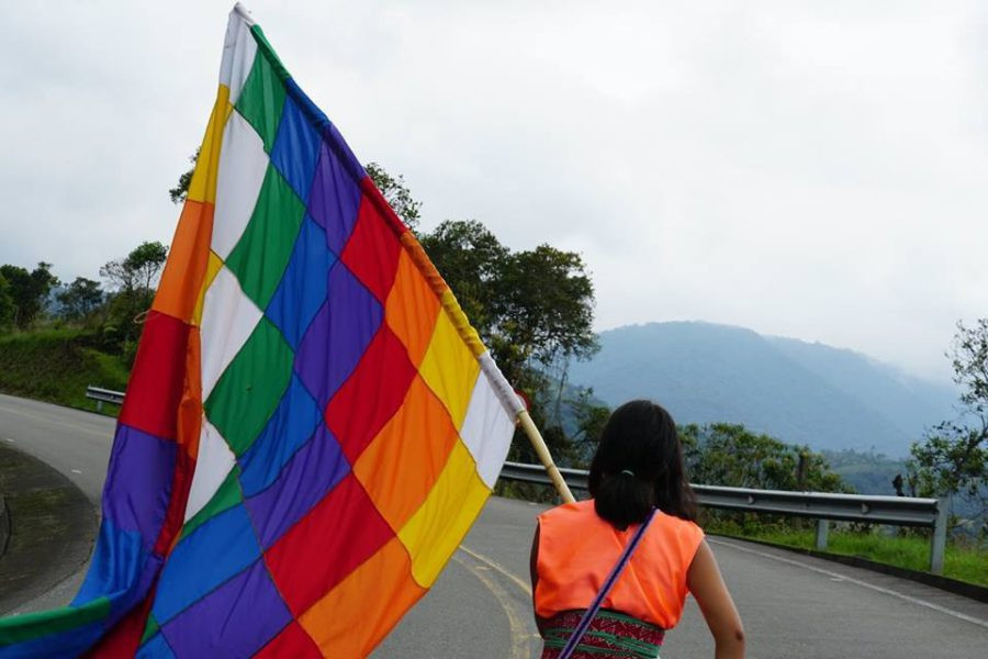 Photo4958934434002872324