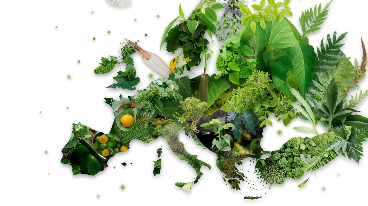 Montaje fotogru00e1fico con plantas medicinales latinoamericanas iluminando en tonos verdes la silueta de Europa.