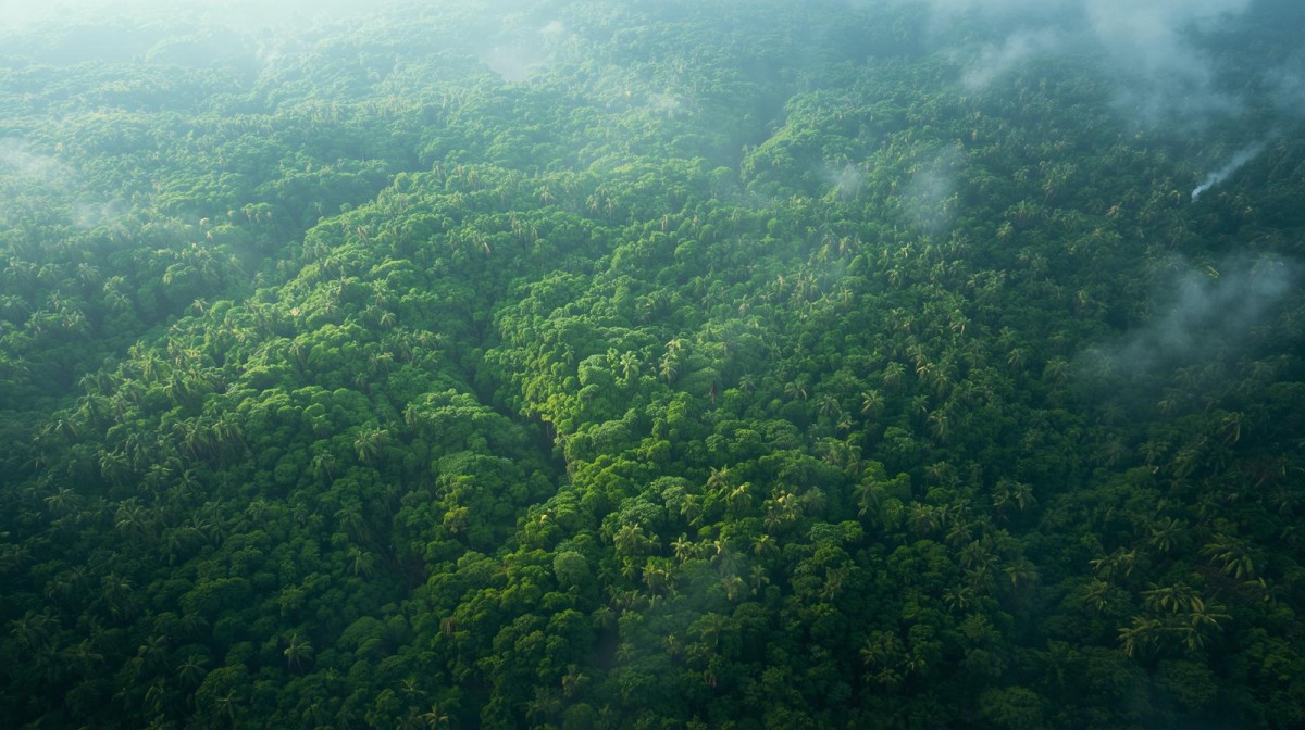 Ilustraciu00f3n de la Amazonu00eda funcionando visualmente como un pulmu00f3n gigante conectado por corrientes atmosfu00e9ricas hacia Europa.