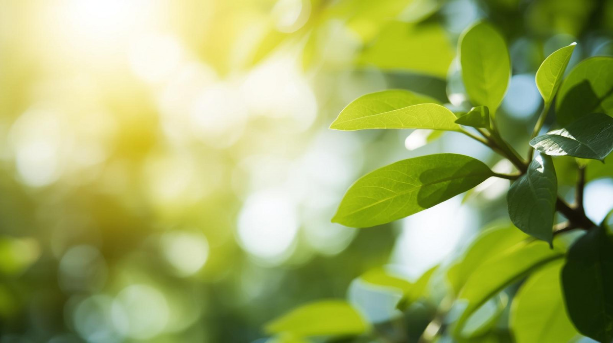 u200bu201cEducaciu00f3n ambiental y movilidad acadu00e9mica  el nuevo puente verde entre Europa y Latinoamu00e9ricau201d